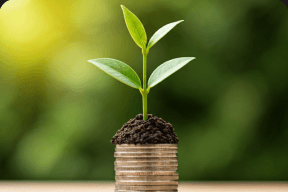 Starting Small: Investing 101